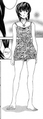 nobra_110_v2c10.jpg
